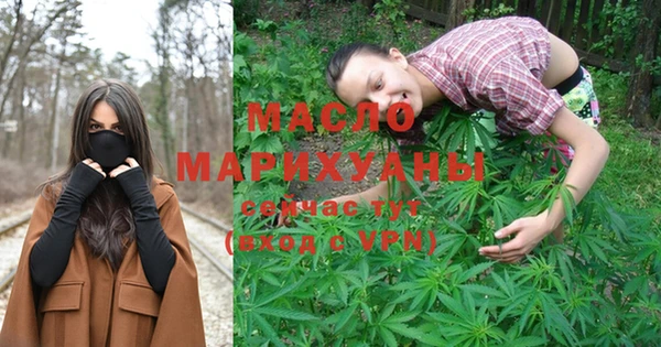 индика Чегем